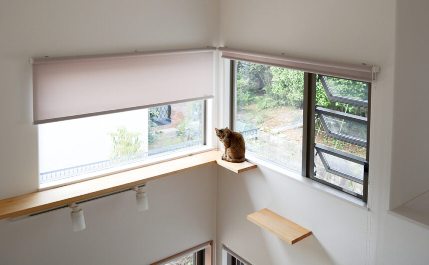 愛猫と楽しく暮らす快適な住まい